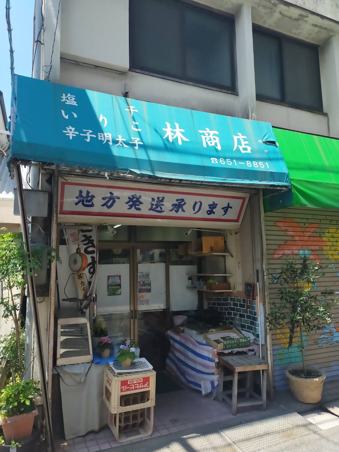 外観